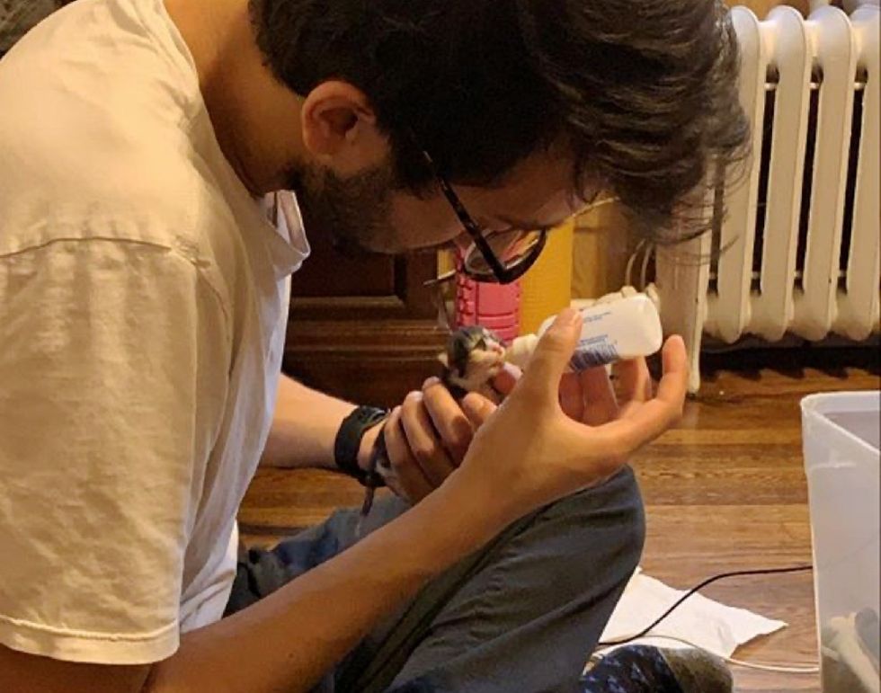  man nursing a rescued Calico Kitten 