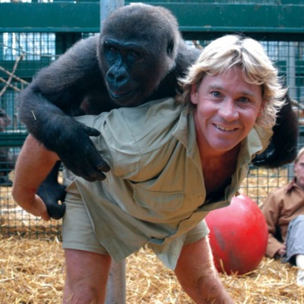 6 Ways Steve Irwin Changed the World