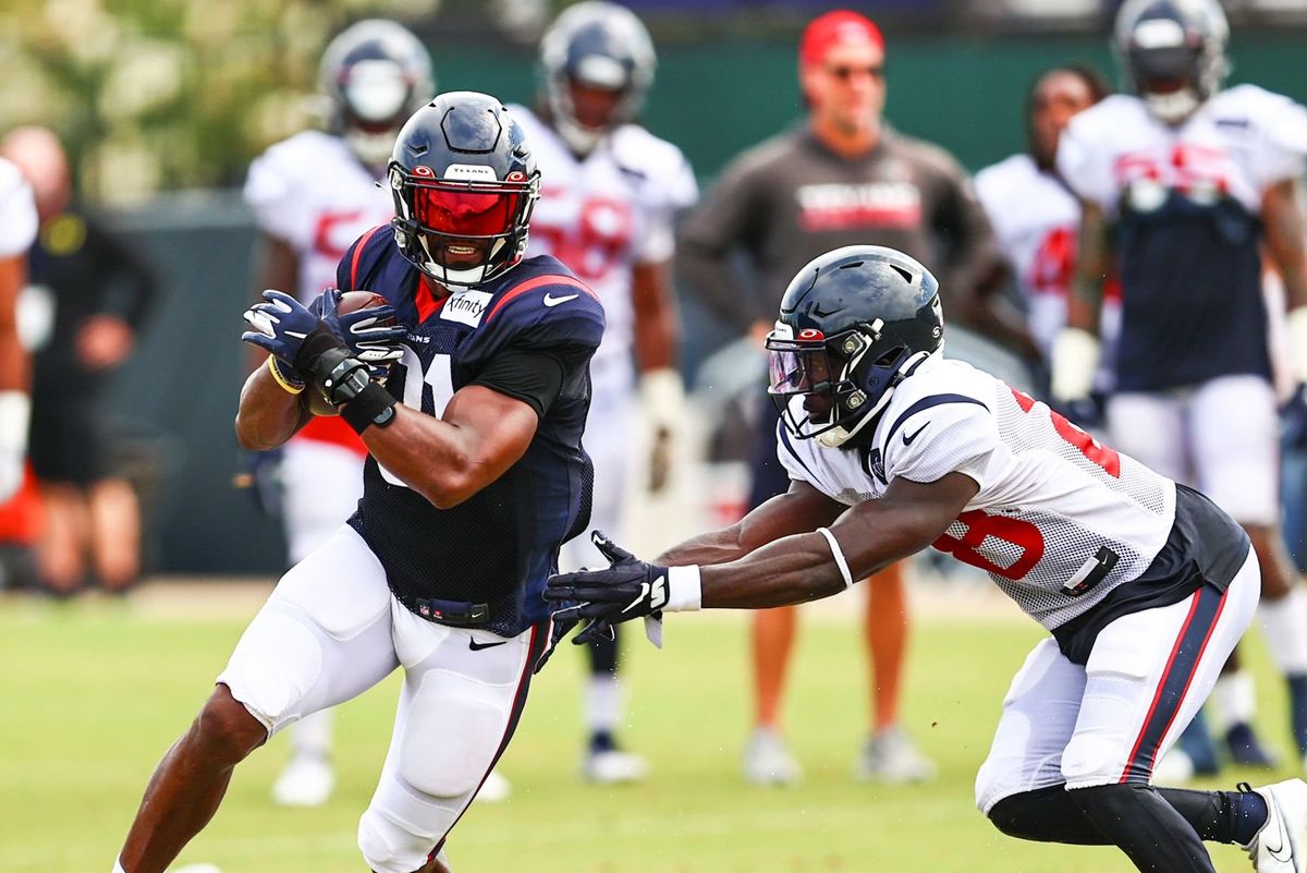David Johnson at training camp