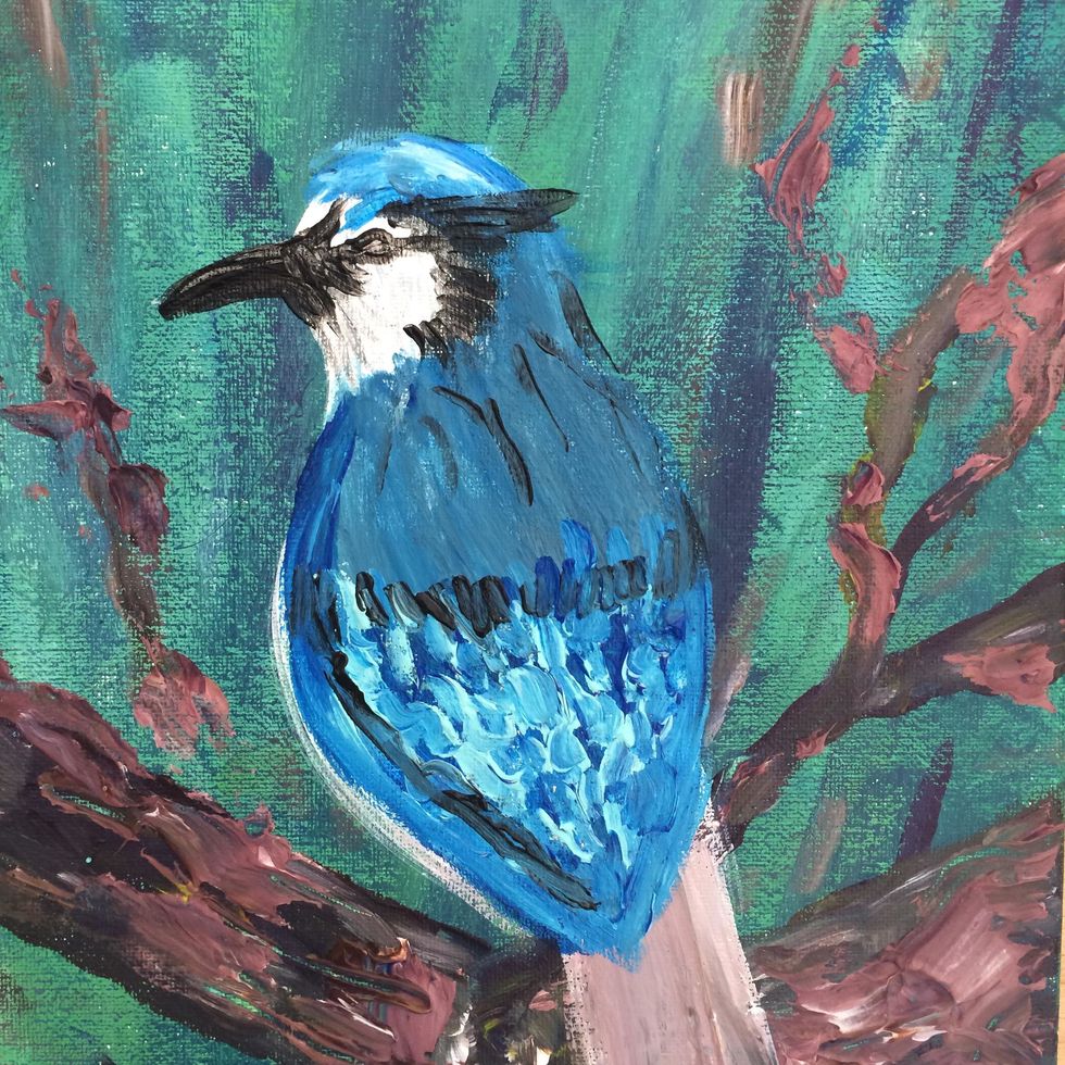 How to create a blue jay painting B+C Guides