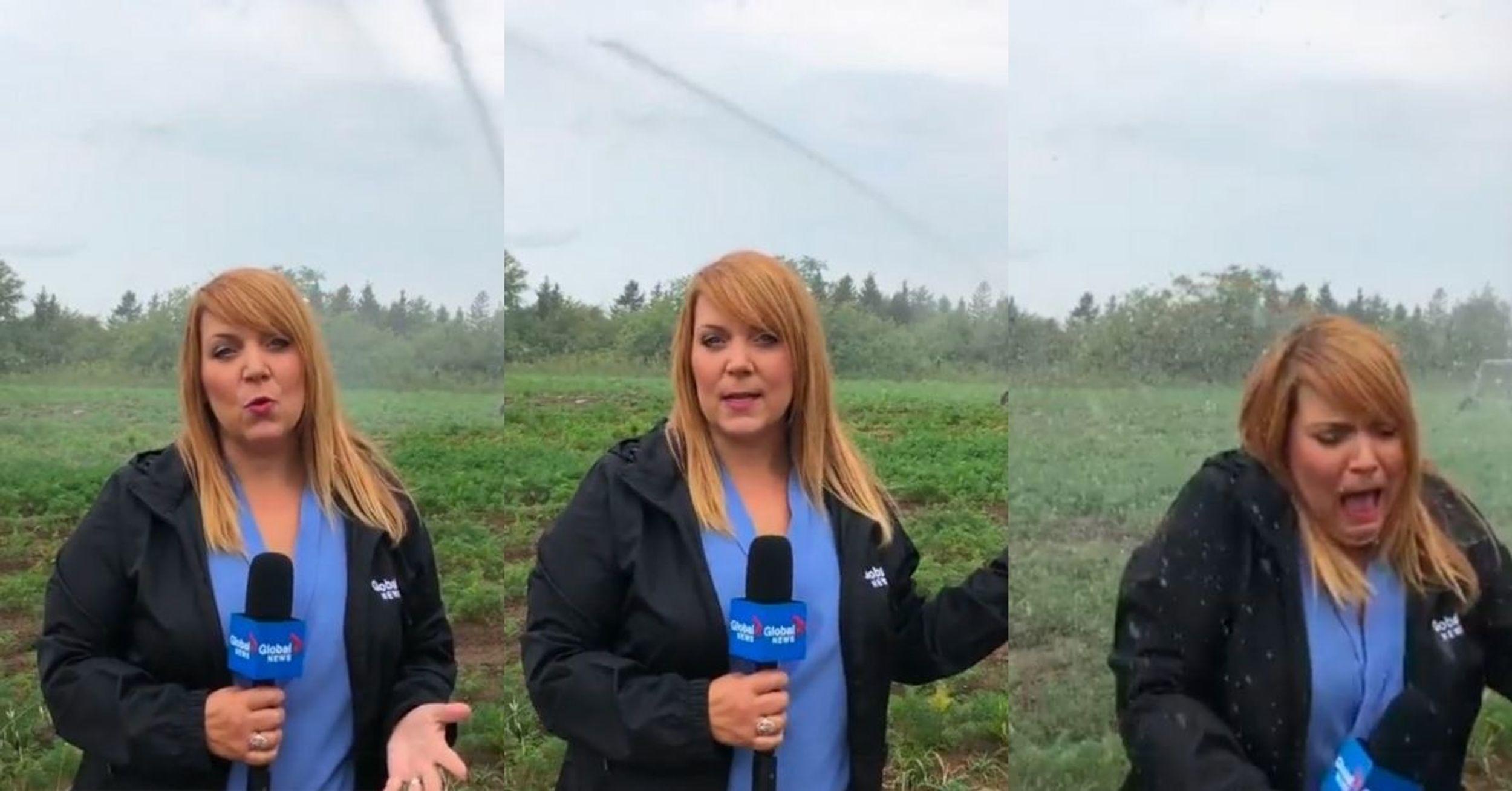 Reporter Gets A Hilariously Wet Surprise After Not Realizing She's In The Direct Path Of A Sprinkler
