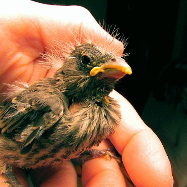 People Share The Most Widely Accepted Facts They Know To Be Wrong