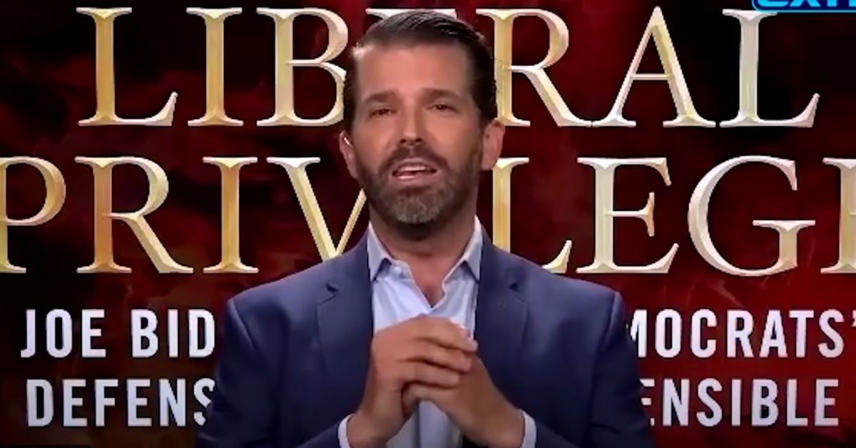 Don Jr. Says 'We All Do Stupid Things At 17' In Mind-Numbing Defense Of Kenosha Shooter