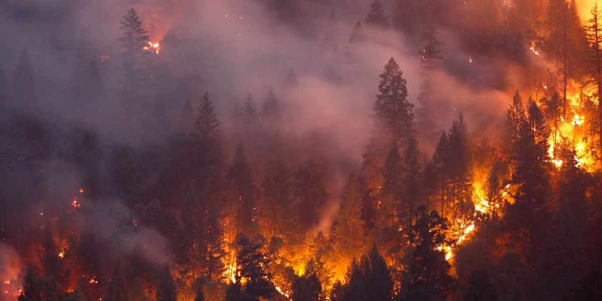How to Help People Affected By the West Coast Wildfires