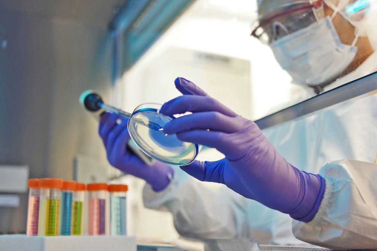 «Giocare coi virus è inutile. Anzi, pericoloso»