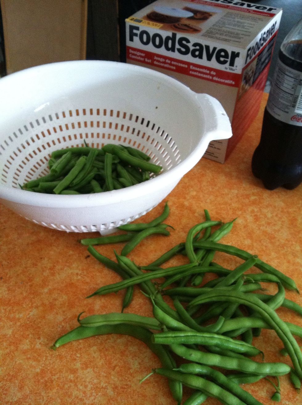 How to prepare green beans for freezing B+C Guides