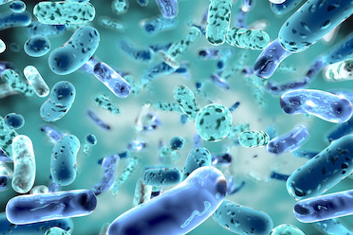 Bacteria close-up
