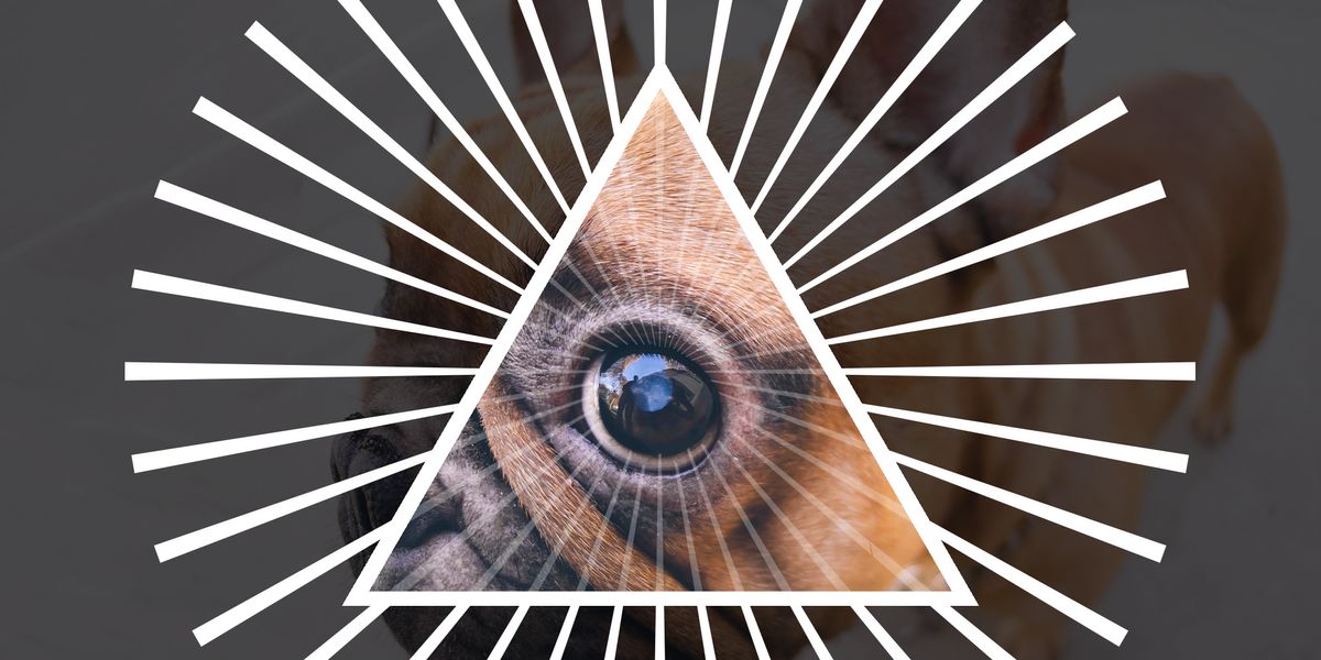 The Meme Illuminati: Behind Instagram's Comedy Empire