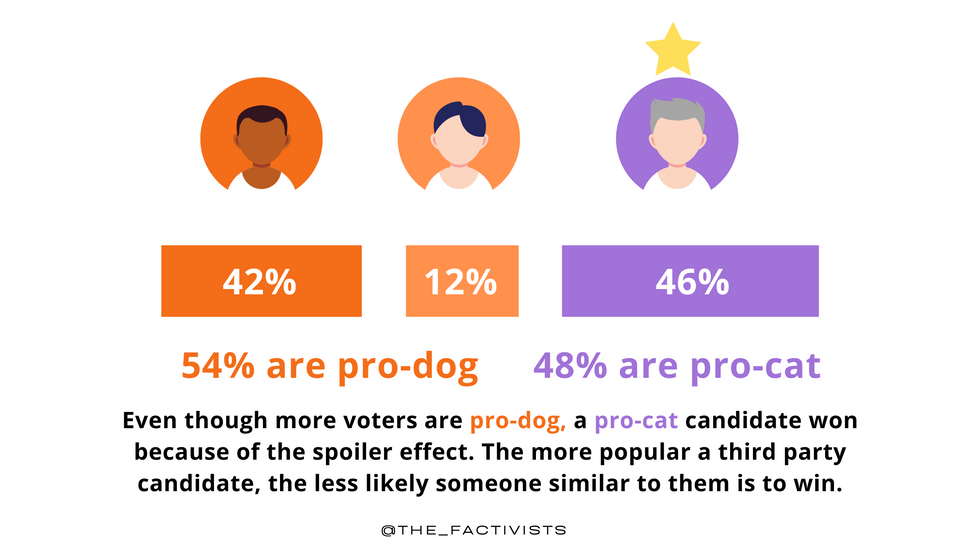 Graph of the spoiler effect using hypothetical pro-cat and pro-dog candidates