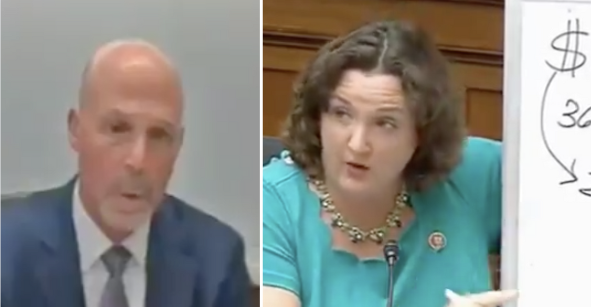 Rep. Katie Porter Singlehandedly Destroys Big Pharma CEO Using Only Her Whiteboard and the Internet Is Cheering