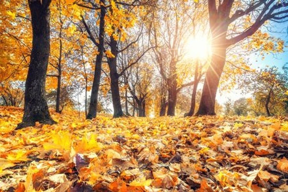10 Songs To Spice Up Your Fall Playlist