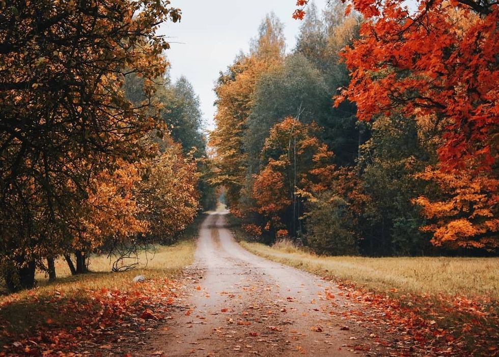 7 Reasons Why Fall Is The Best Season