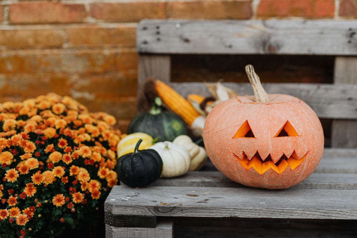 6 activities that'll remind you it's fall in Austin all month long