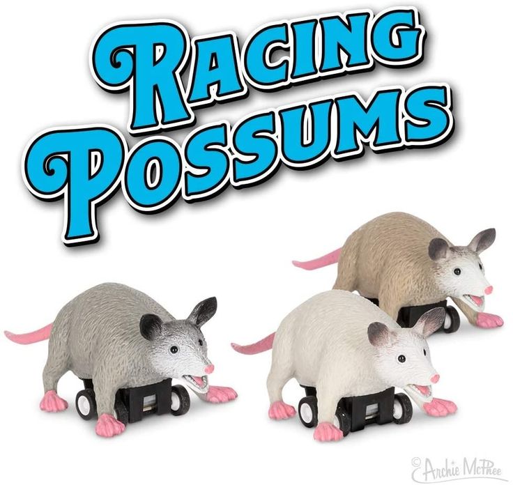 Possum Sticker Set It S A Southern Thing