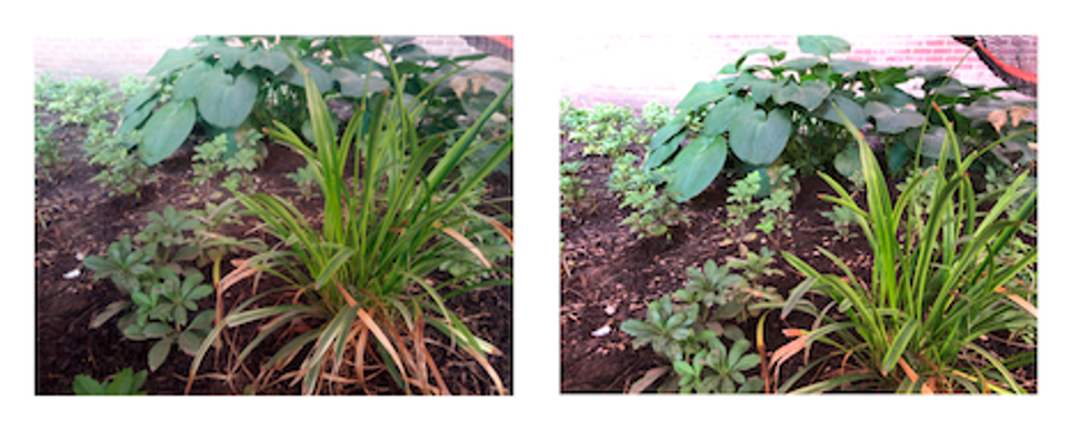 Cat S42 smartphone review