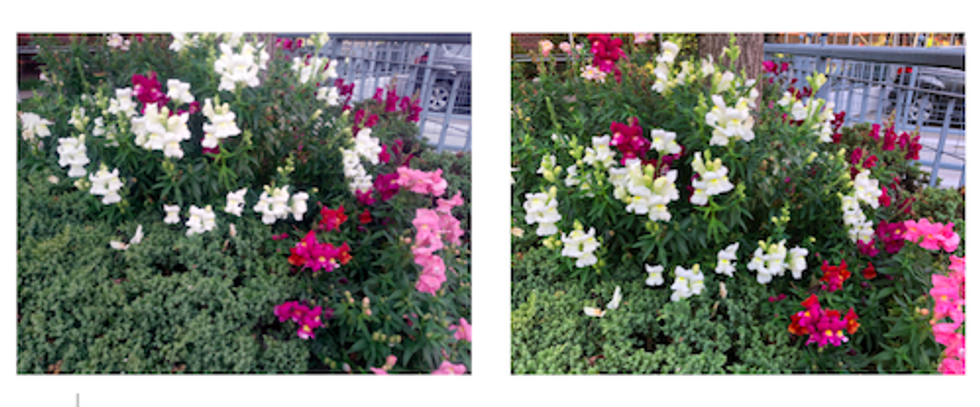 Cat S42 smartphone review