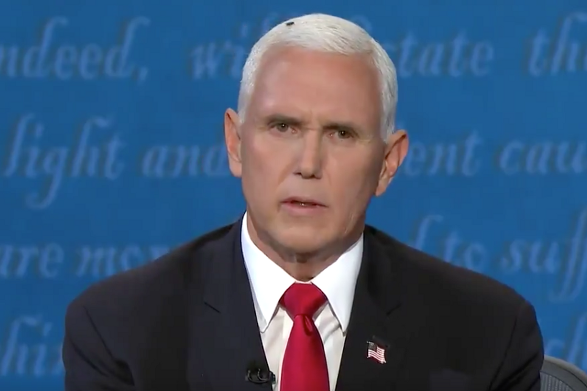 'Does Pence have a bug on his head?' Austin confirms the star of the vice presidential debate was the fly