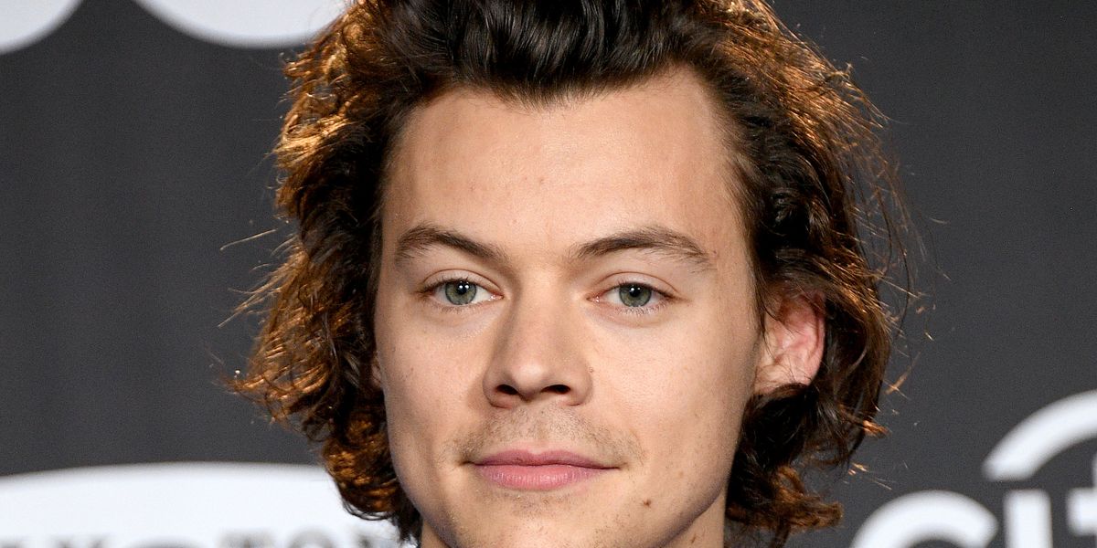 Harry Styles Will Reportedly Play a Gay Policeman in New Queer Drama