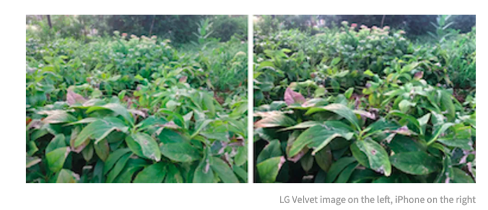 LG Velvet vs LG V60 ThinQ