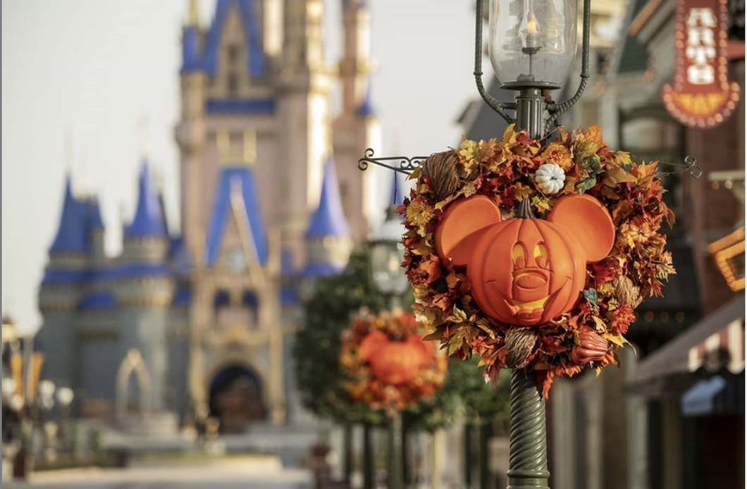 15 Of My Favorite Halloween Themed Movies