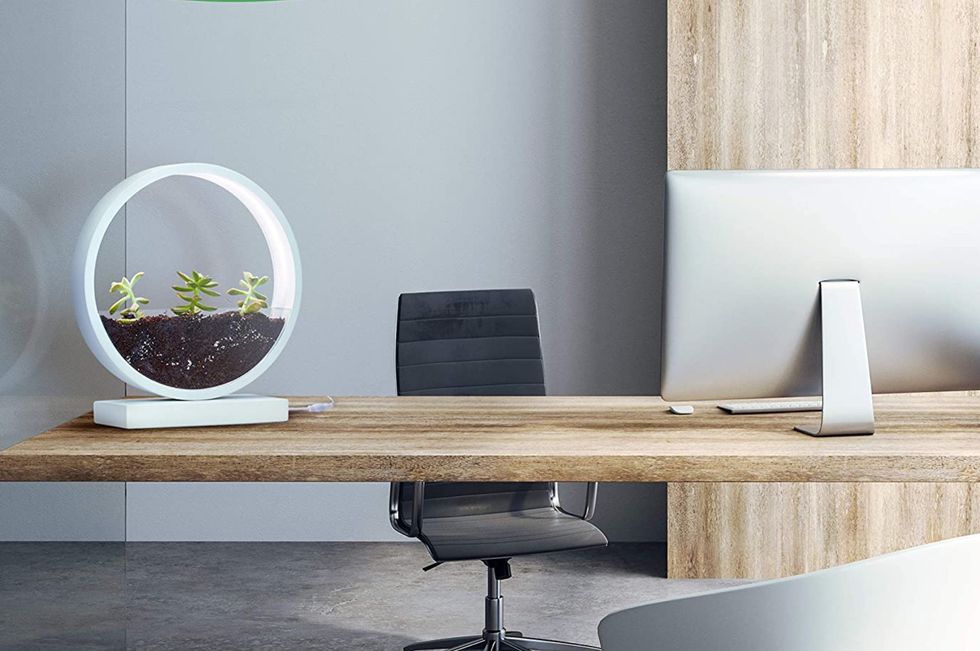 Desk planter with LED lights