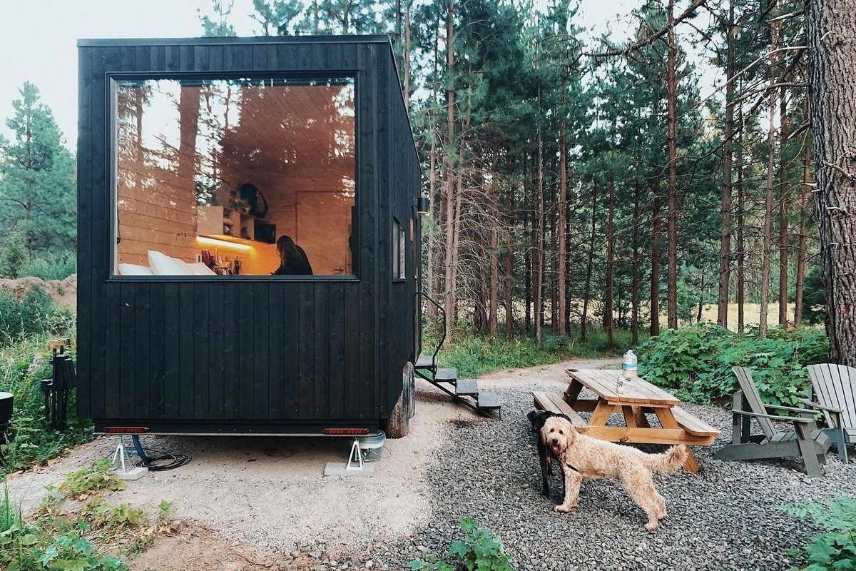 dog and getaway cabin