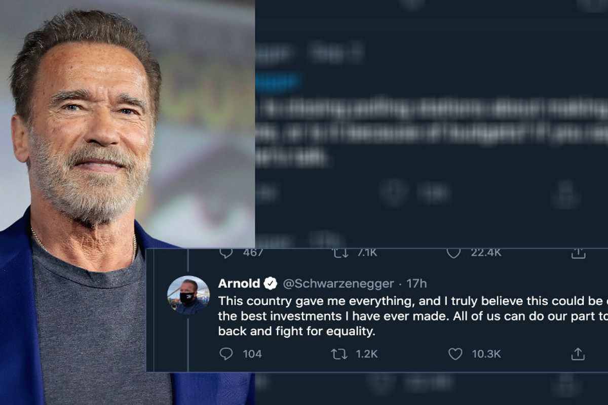 Arnold Schwarzenegger says he'll pay to reopen polling centers across America so everyone can vote
