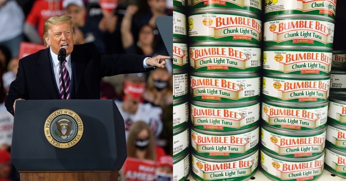 Trump Mocked After Claiming Protesters Are Throwing Cans Of 'Bumble Bee Brand Tuna' At Cops