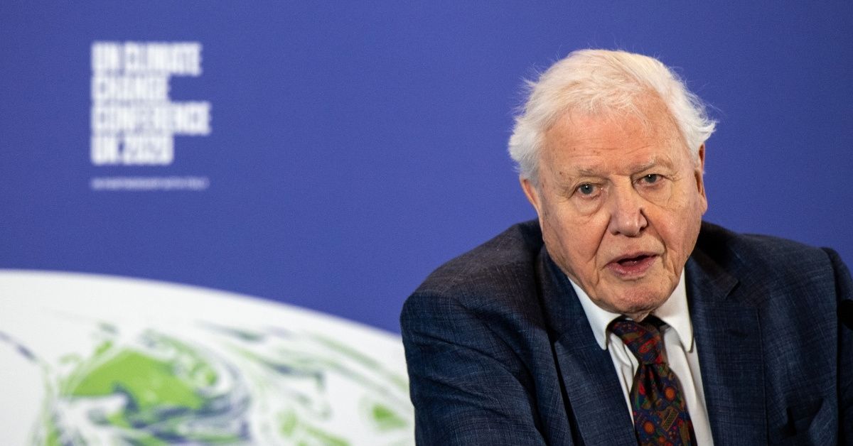 Naturalist Sir David Attenborough Joins Instagram To Warn That 'The World Is In Trouble'