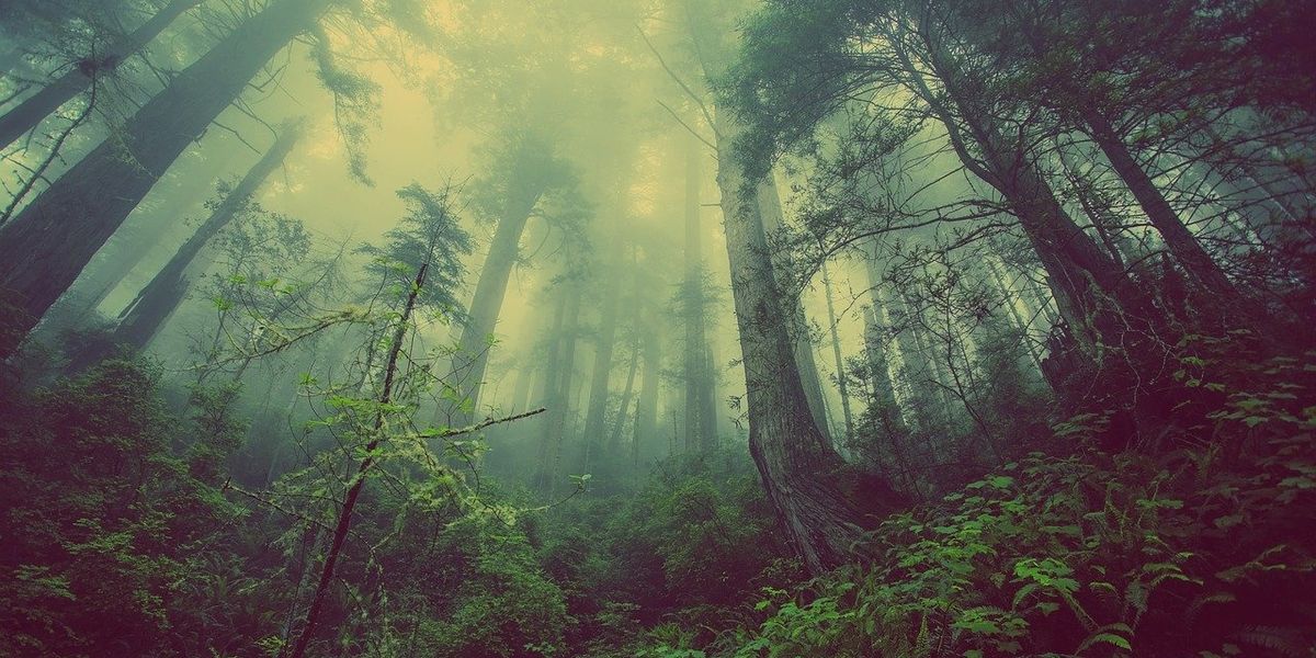 People Share Their Craziest 'We Need To Get Out Of Here Immediately' Stories
