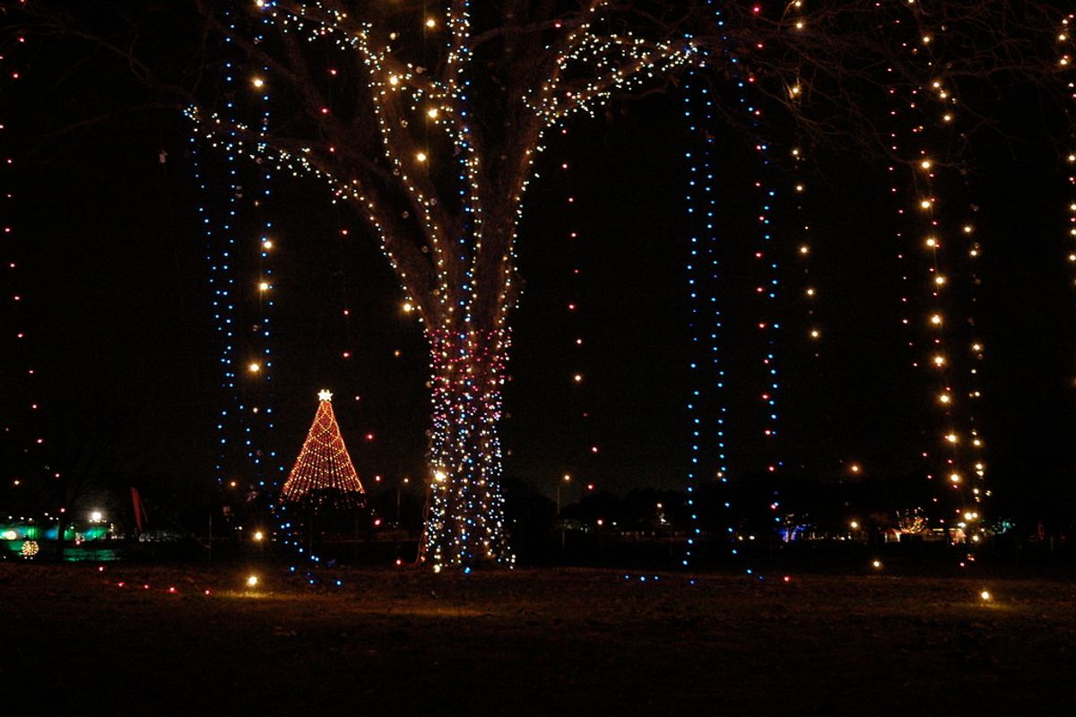 Zilker Park Holiday Tree to be installed as park begins closure for Trail of Lights