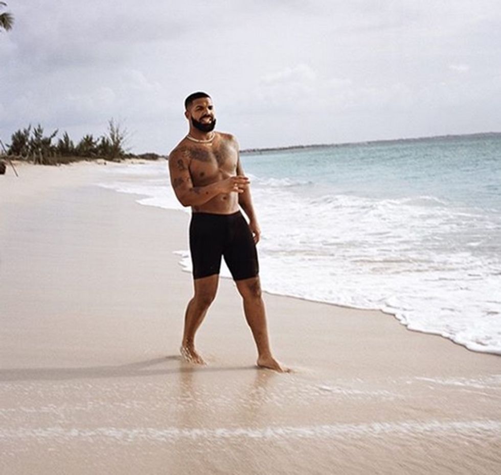 Drake on the beach