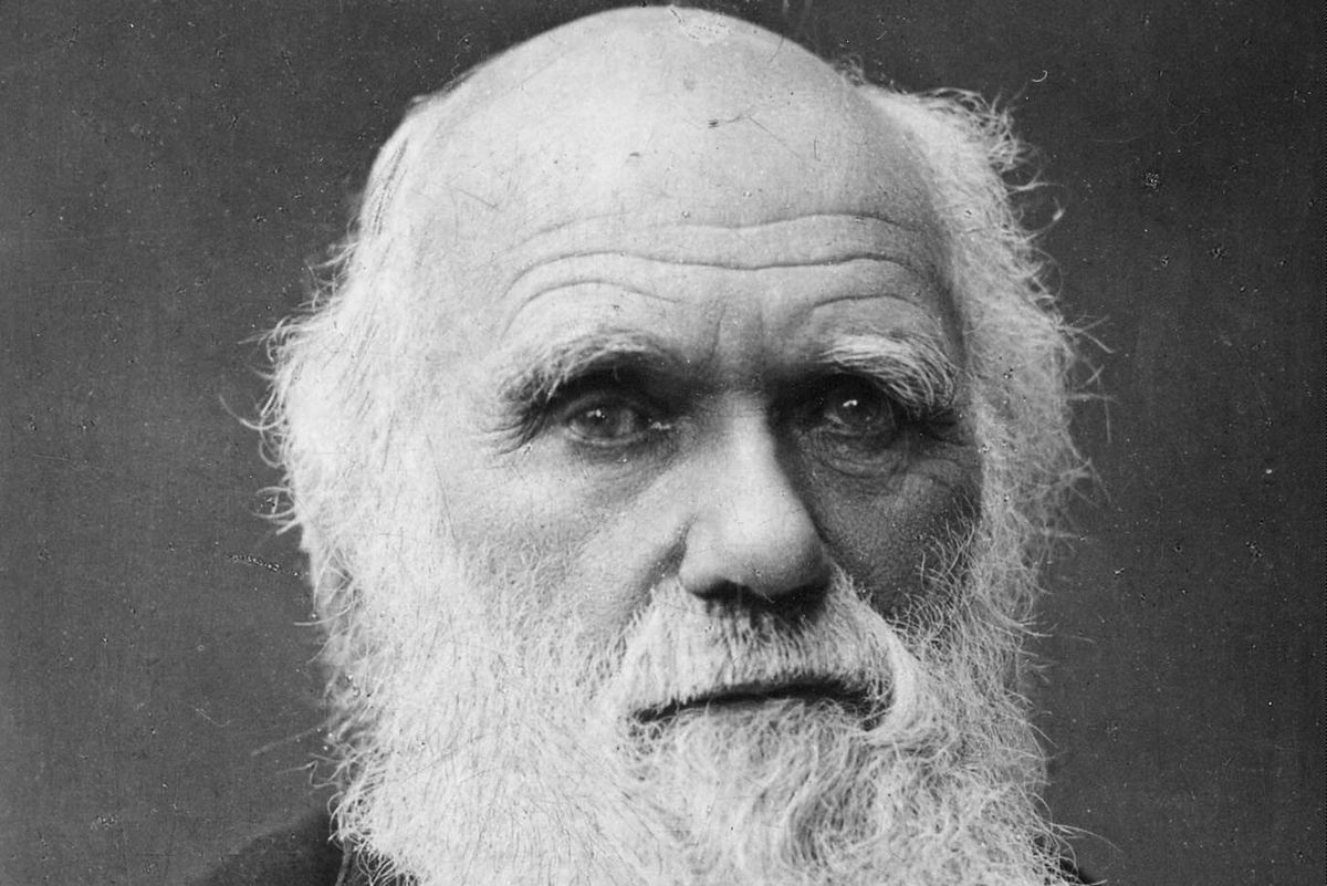 Darwin rapito dalla maestosa Amazzonia