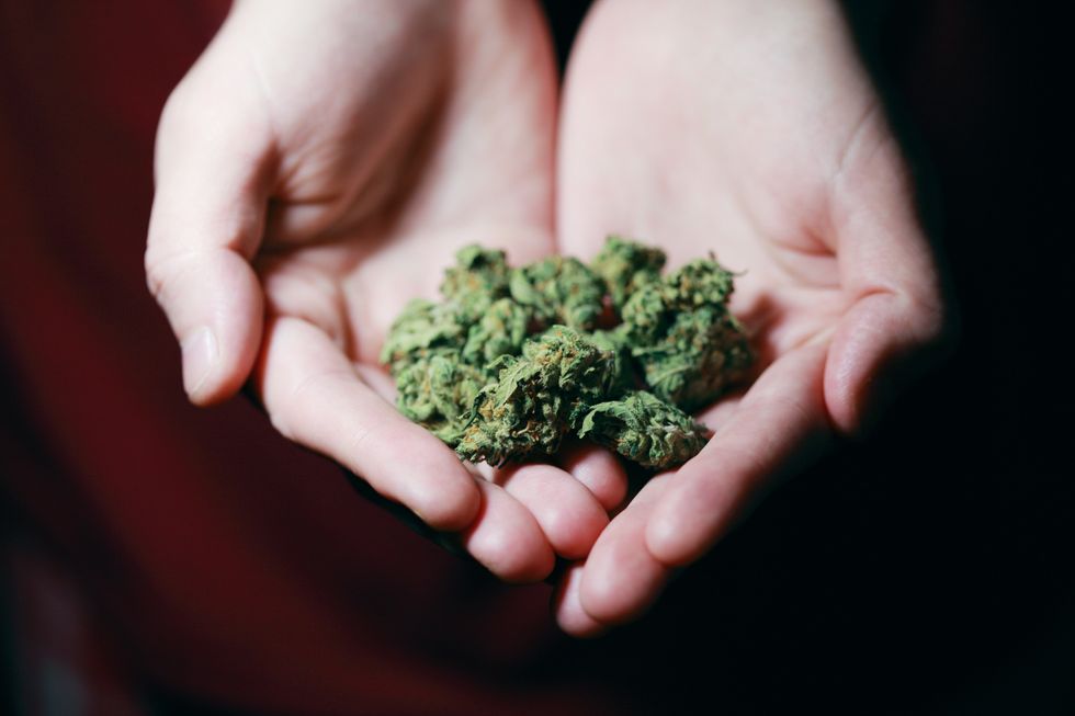 The Healing Green: Benefits of Medicinal Cannabis