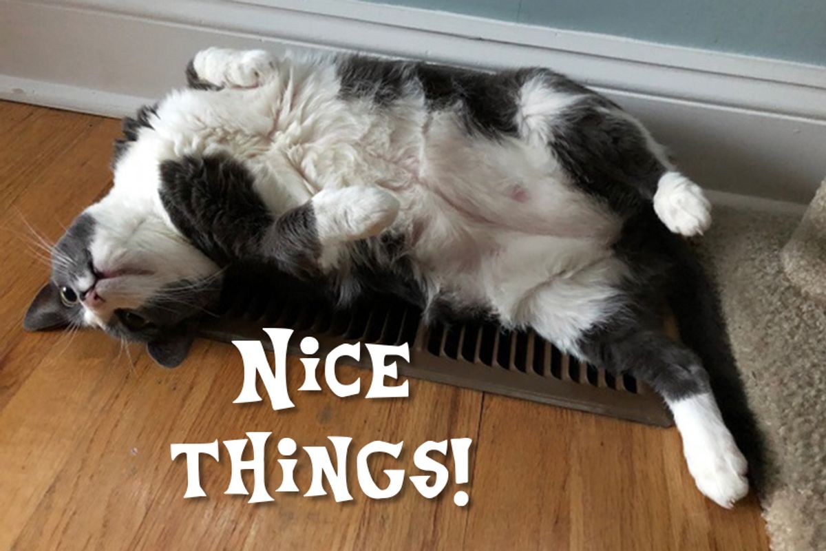 Relax! It's the Return Of Nice Things!