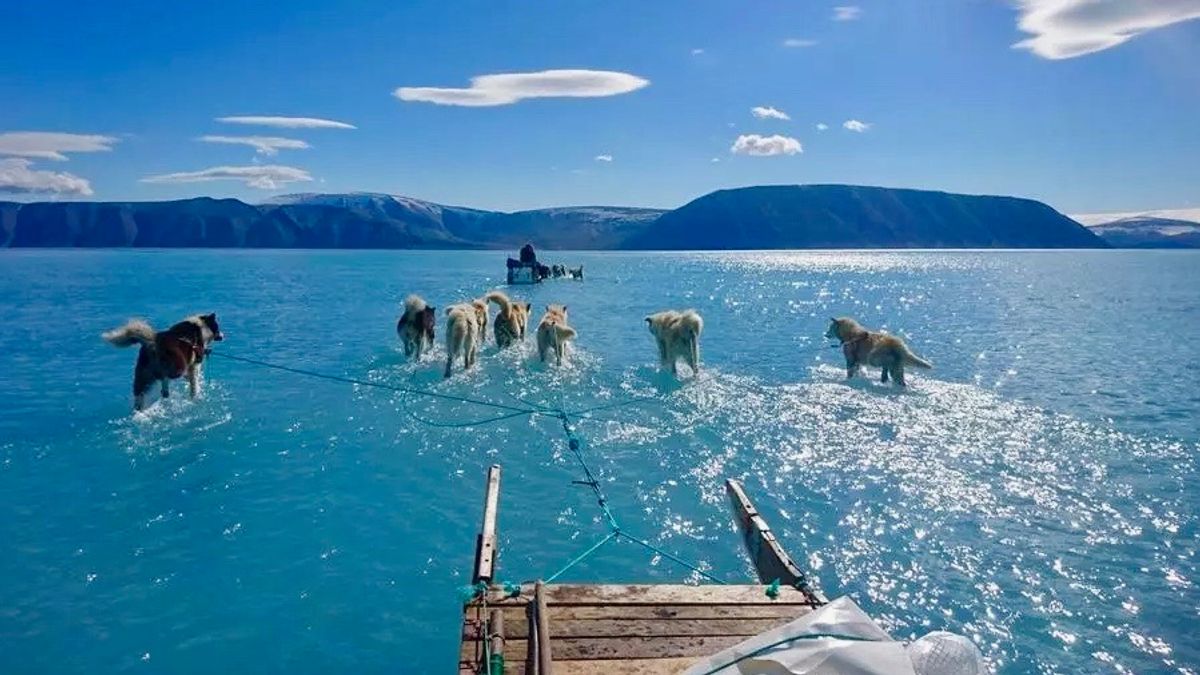 Bolstering alarm over scientists' warnings, new study finds sea level rise projections 'are on the money'
