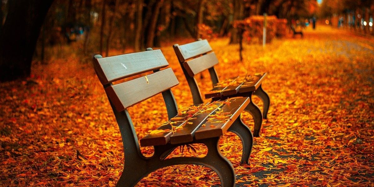 Fall Fanatics Describe Their Favorite Things About Autumn