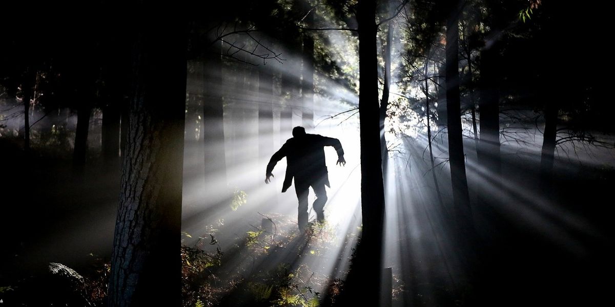 People Break Down Which Professions Attract The Most Psychopaths