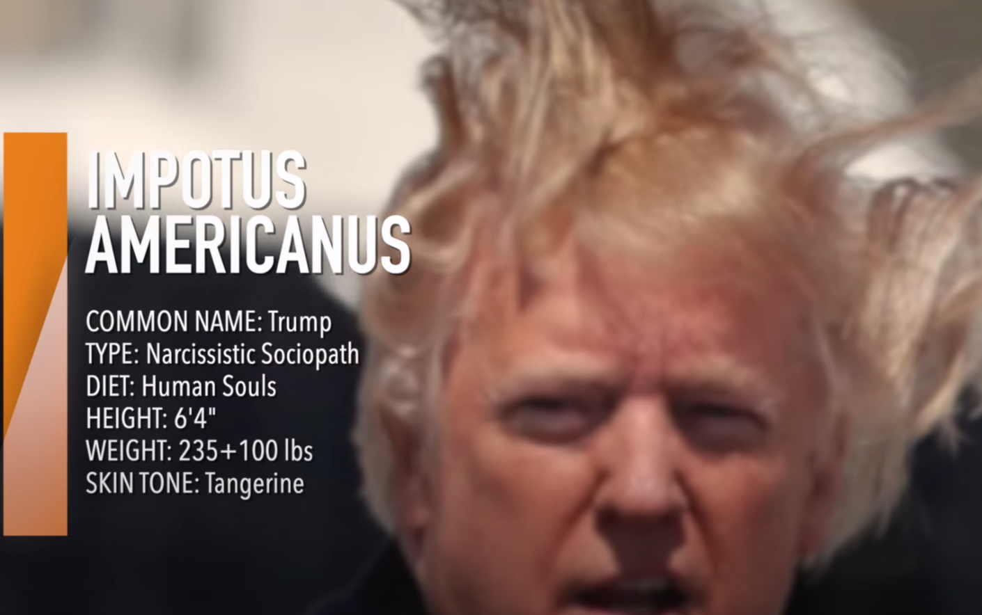 #EndorseThis: Lincoln Project Burns Fox News Phonies And Their 'Trump TV'