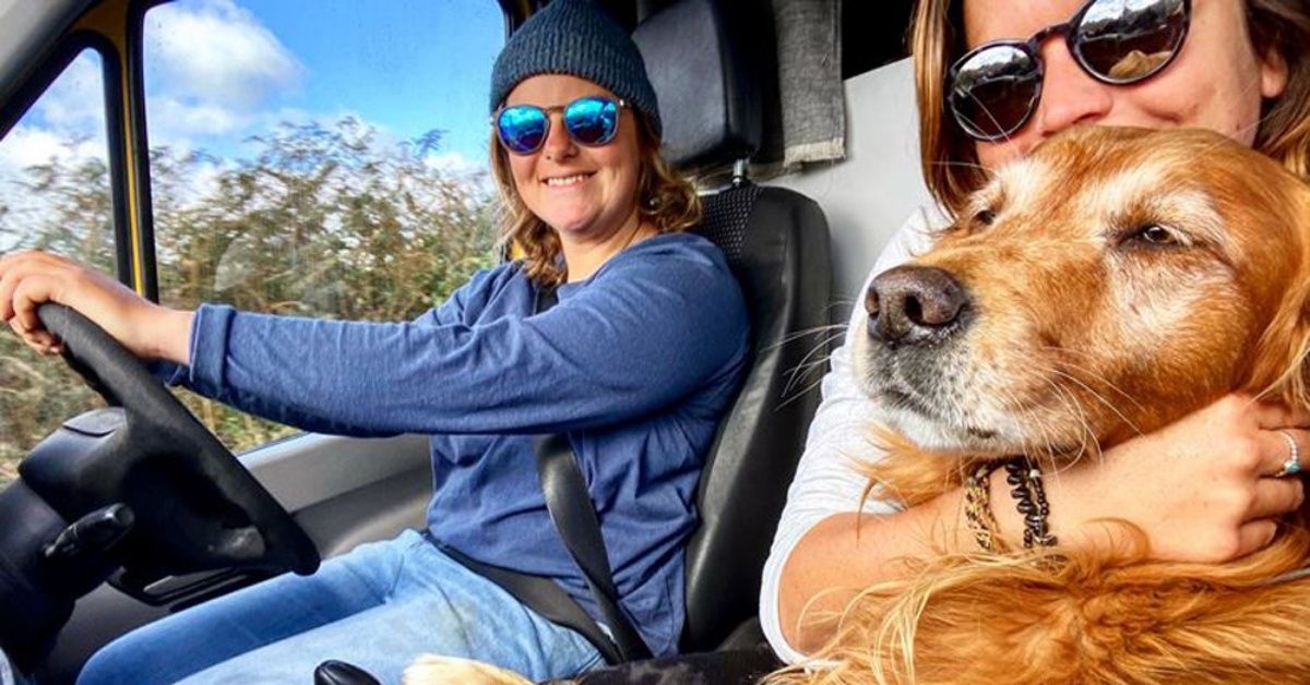 Couple Who Found Love At Sea Swaps Cabin Life For Traveling Europe In A Converted Van