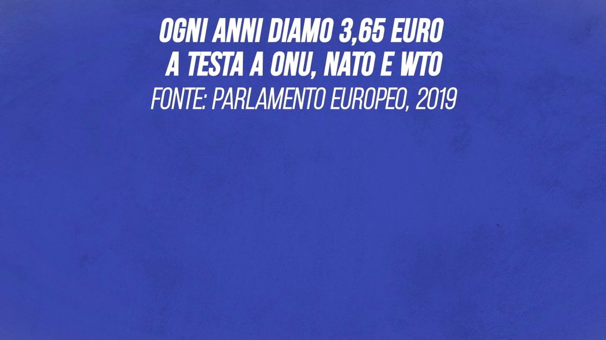 Ogni anno diamo 3,65 euro a testa a Onu, Nato e Wto
