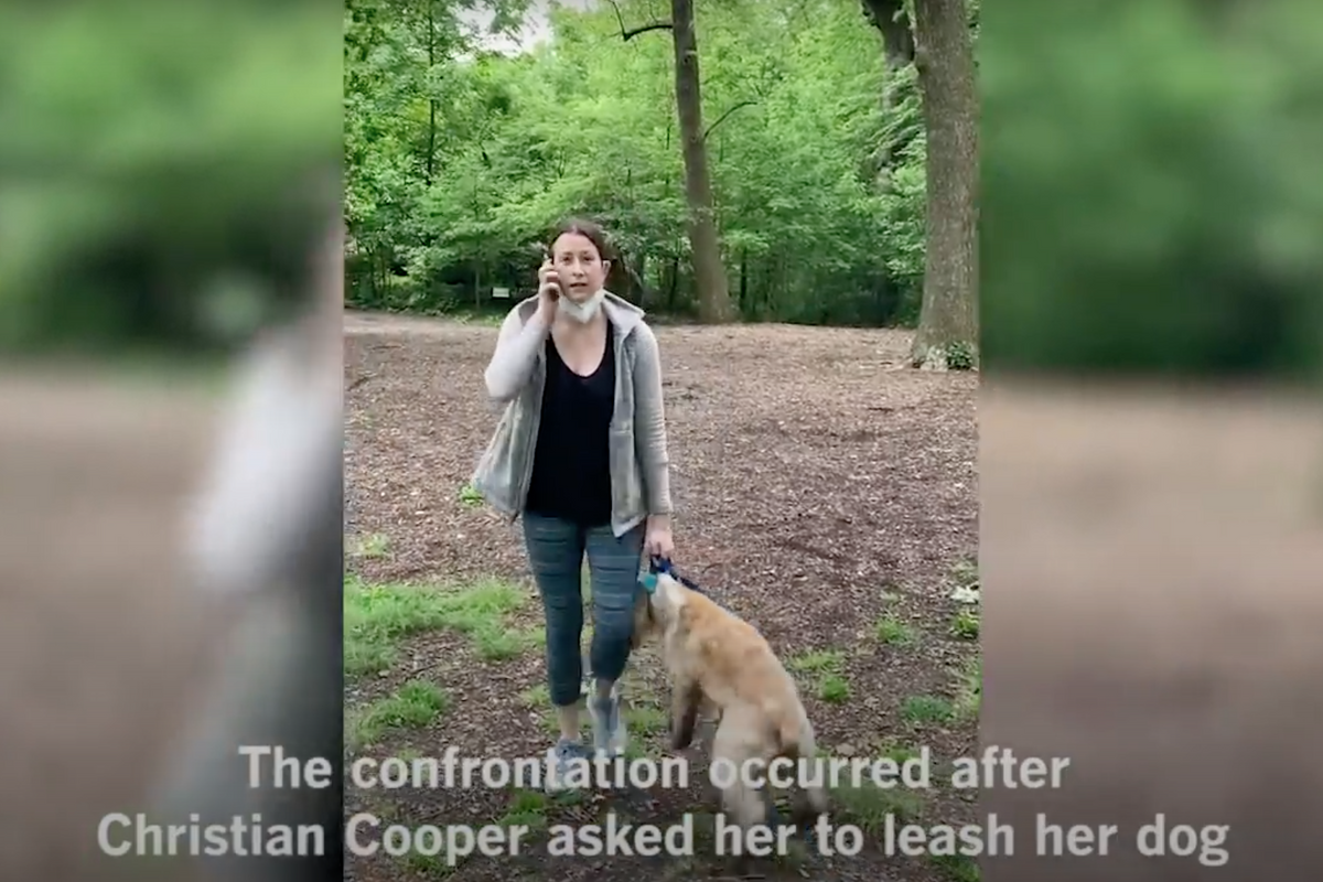 Hey Remember Amy Cooper? Turns Out She's Worse Than Anyone Knew