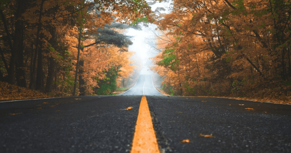 Autumnal Injury Prevention: How to Avoid Falls During the Fall