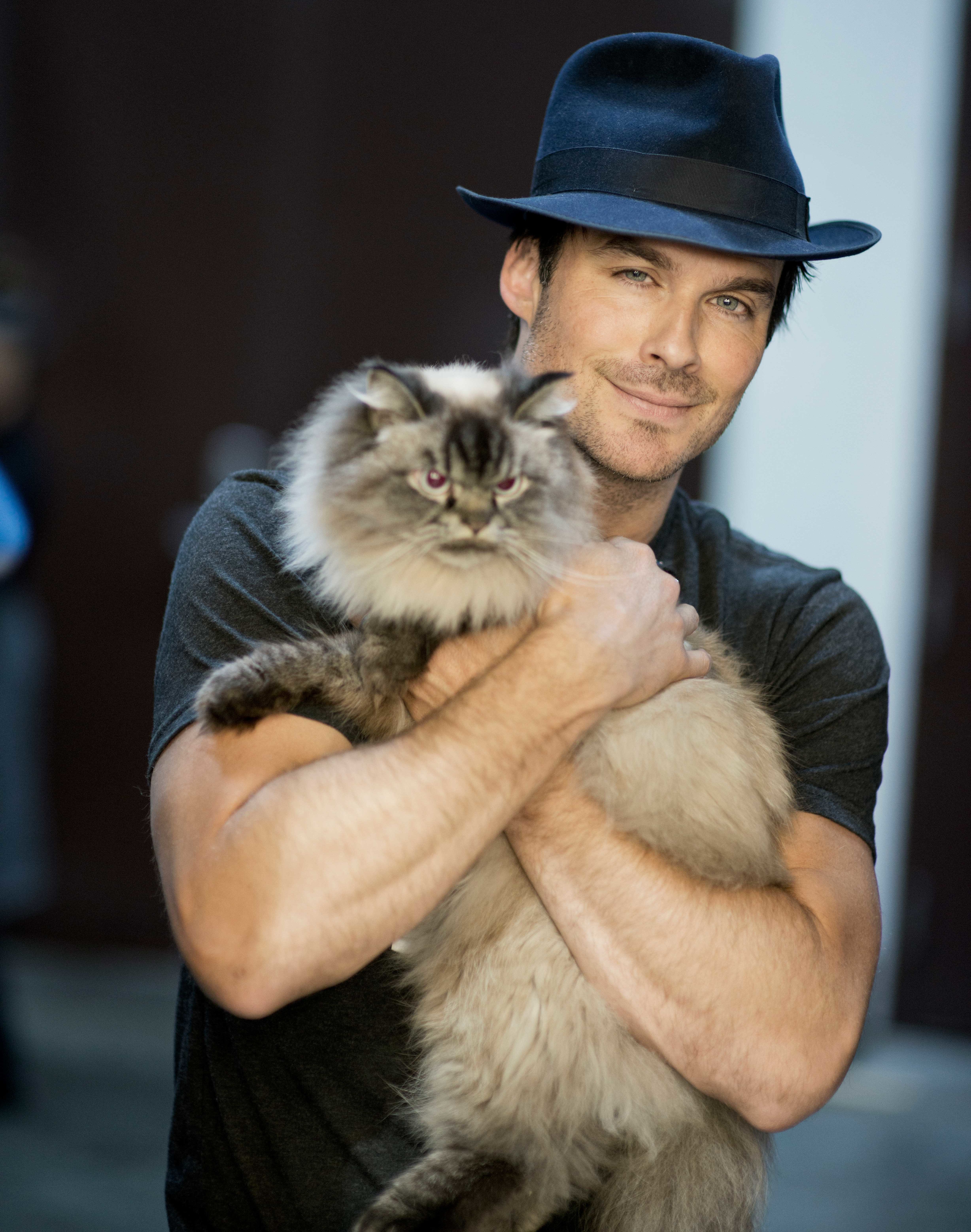 Ian Somerhalder carrying a cat at CatCon