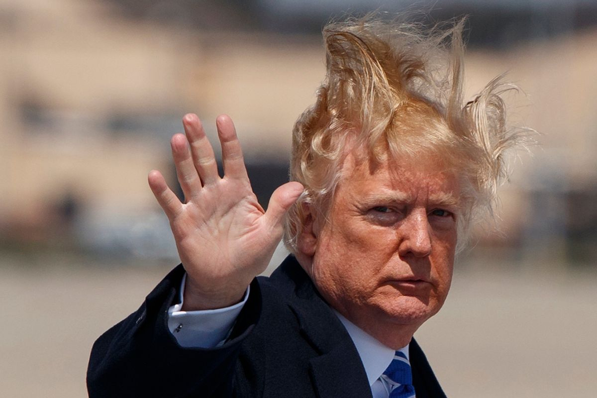 Donald Trump Hair