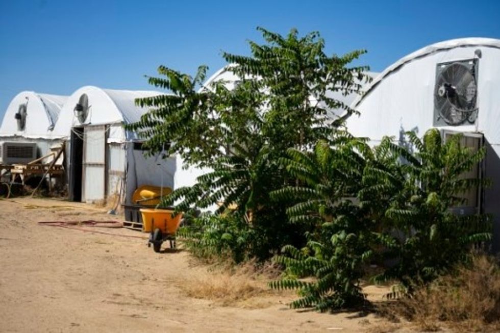 Exterior Of Greenhouse In California