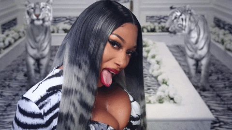 Megan Thee Stallion Explains Why Having A Plan B Was Never An Option For Her