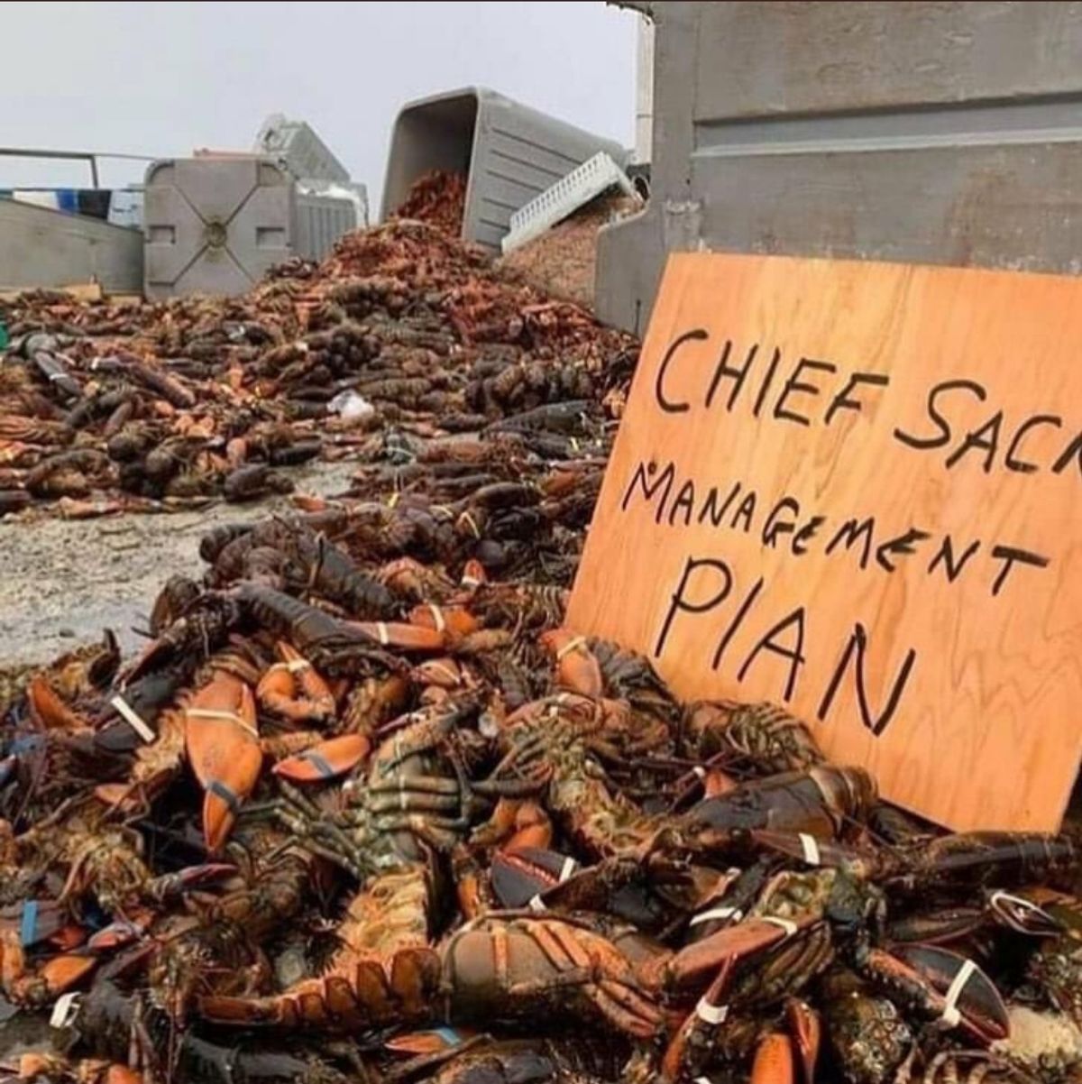 Commercial Fishermen Attack First Nations Lobster Harvest in 'Racist Hate Crime'