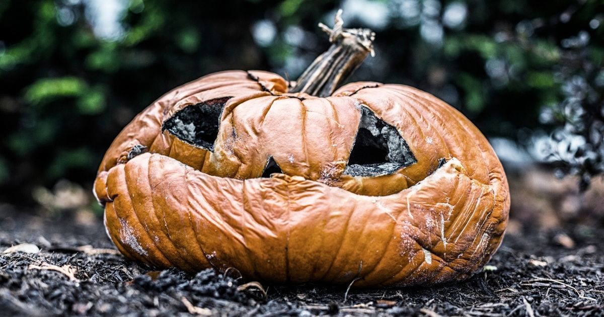 Woman Considers Being Hilariously Petty After Neighbor Left Rotting Pumpkin Out Since Last Halloween