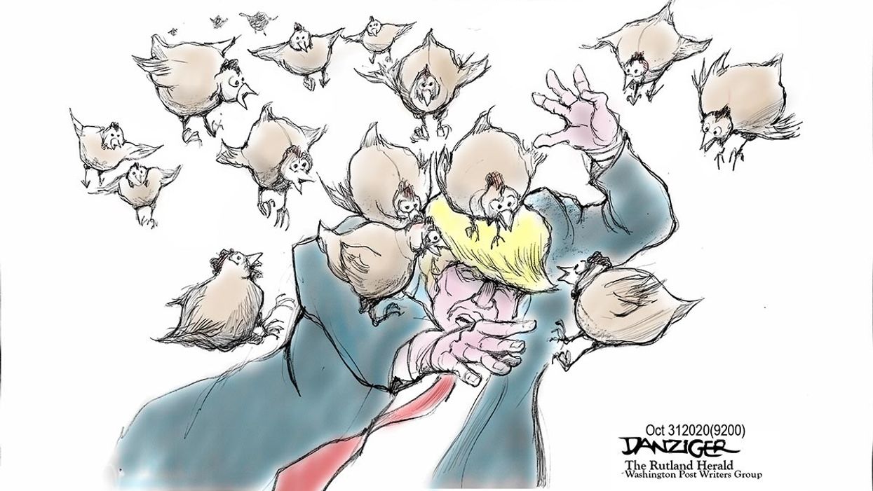 Danziger Draws